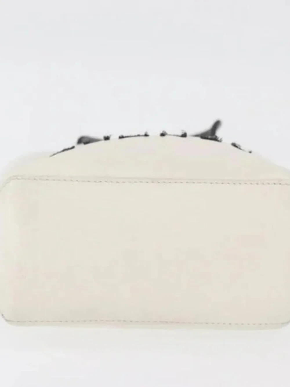 CHANEL brand	chanel color	white